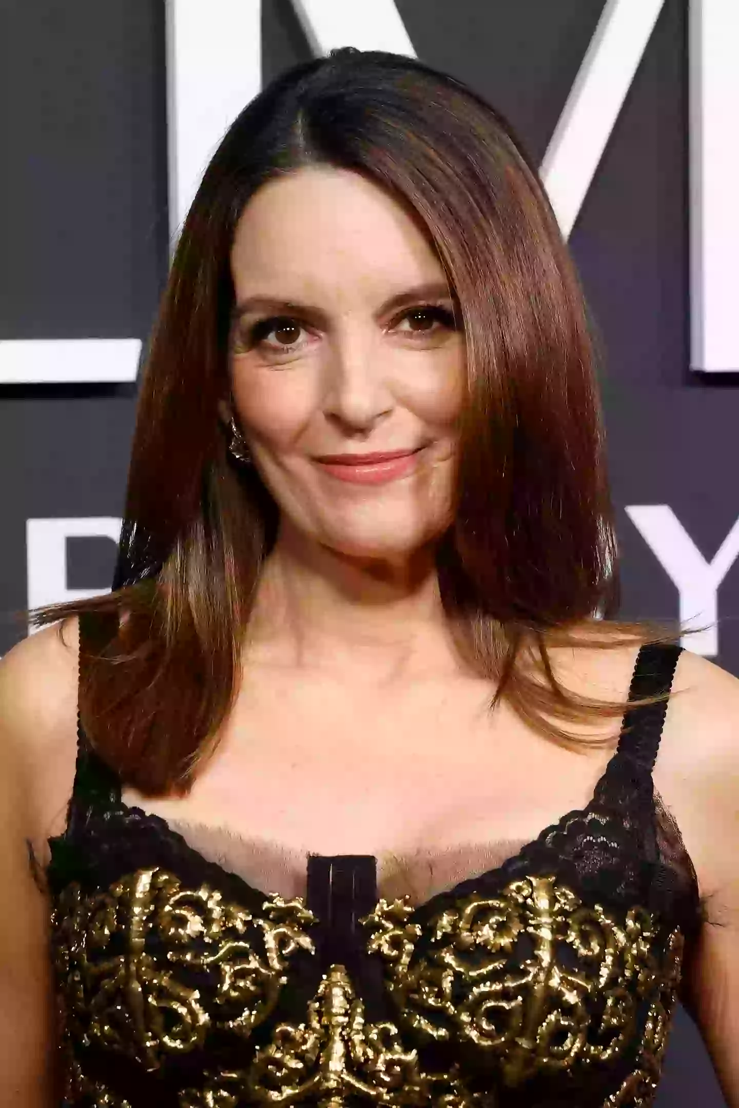Fey is continuing to make strides in the TV world (Getty/Taylor Hill)