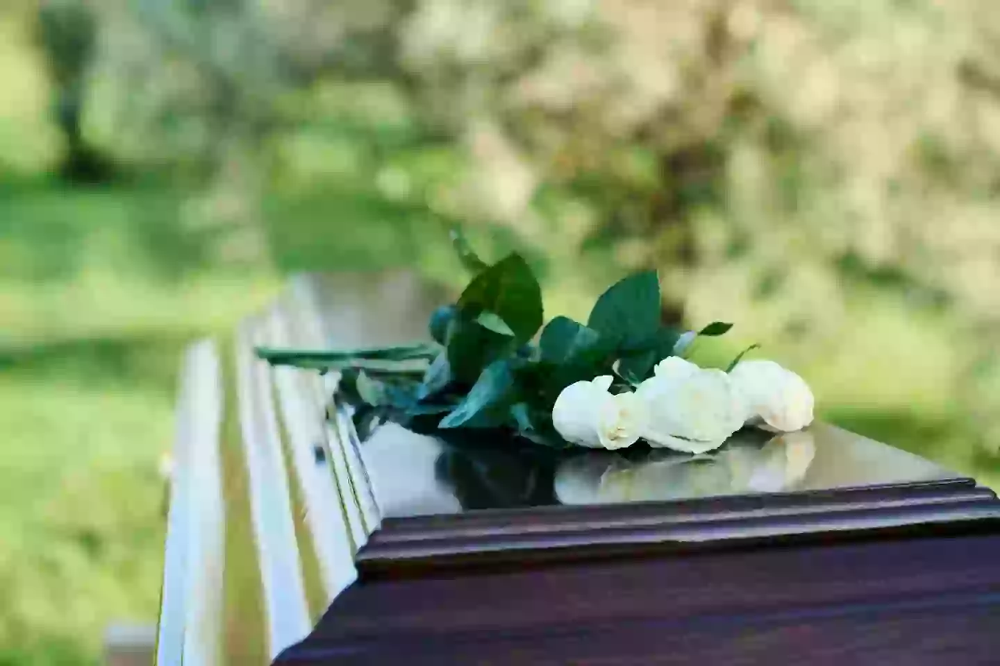 Happy Monday! Fancy thinking about what's going to happen to your body after you die? (shironosov/Getty Stock Photo)