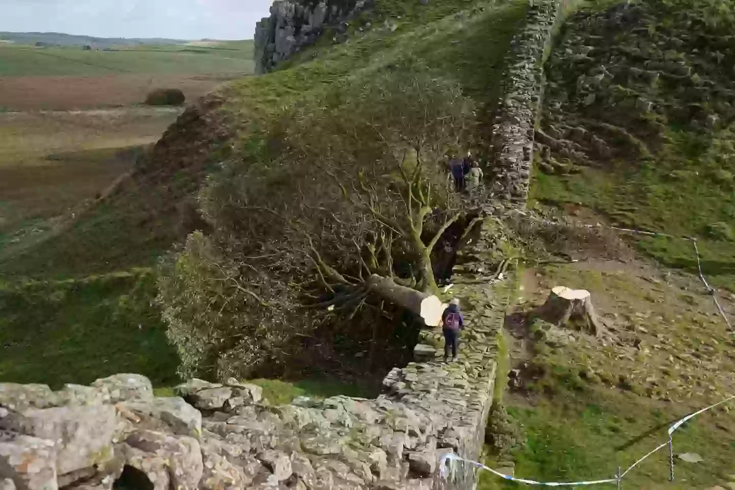 The pair chopped down the world famous Sycamore Gap tree in the middle of the night in September 2023 (PA)