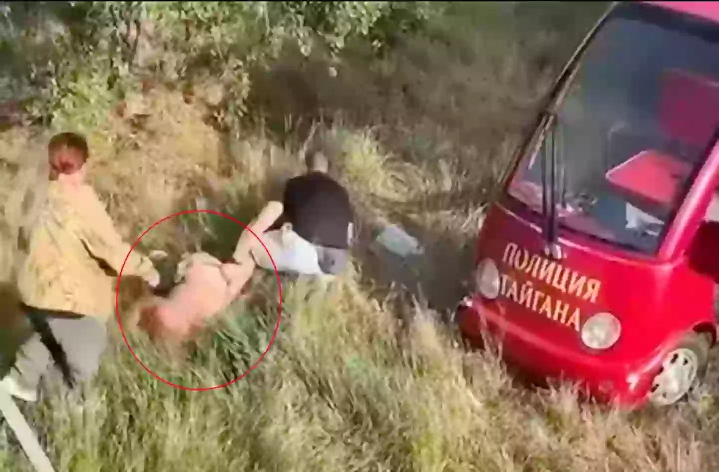 The lion which attacked Zubkov had reportedly killed another member of staff at the park (East2West)