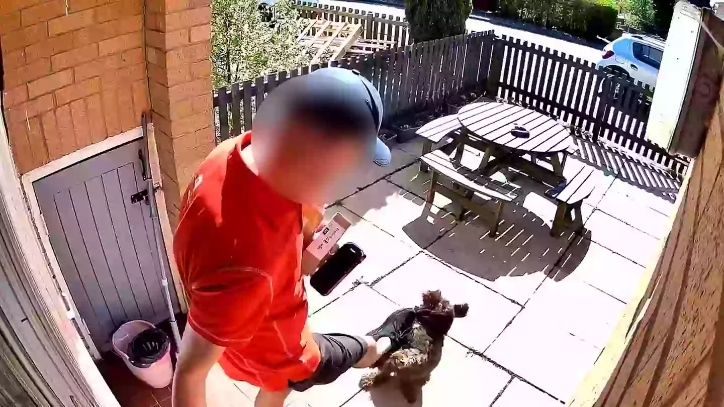 'Cruel' Royal Mail postie caught on camera kicking customer's 'attention-loving' puppy in the face