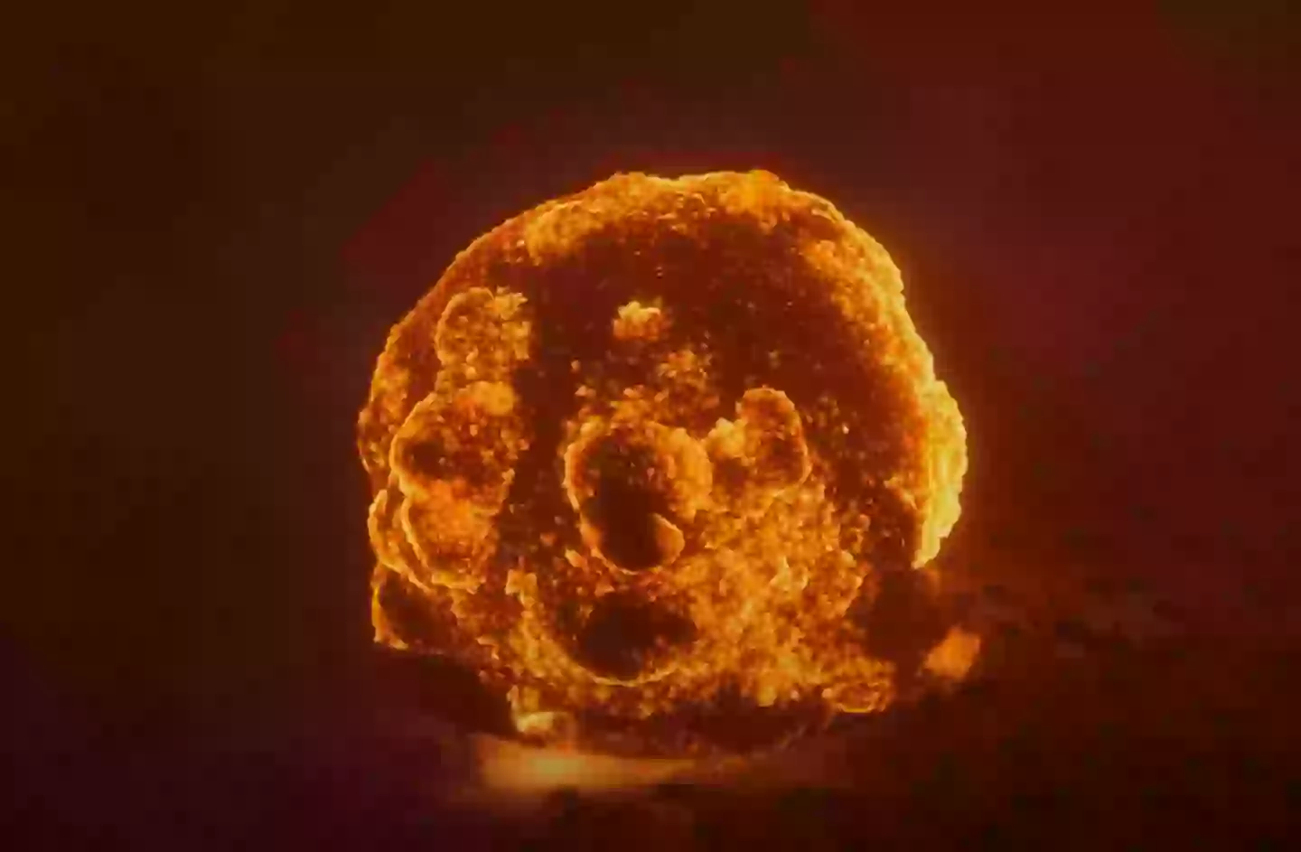 It's a scenario none of us want to think about (Youtube / Atomic Marvel)