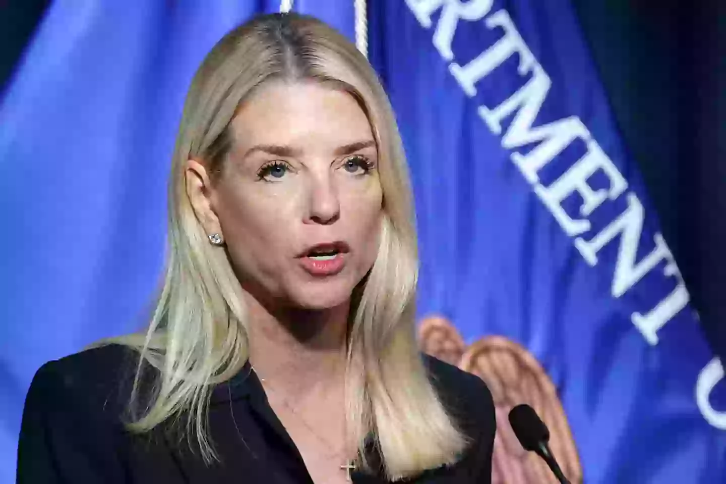 Pam Bondi has come under scrutiny for past comments (Alex Wong/Getty Images)