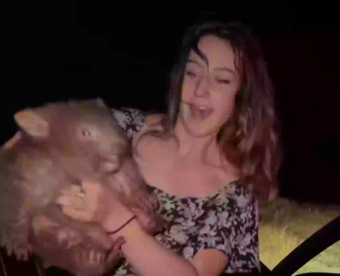 Sam Jones has claimed she picked up the wombat to check it wasn't 'sick or injured' (Instagram/@samstrays_somewhere)