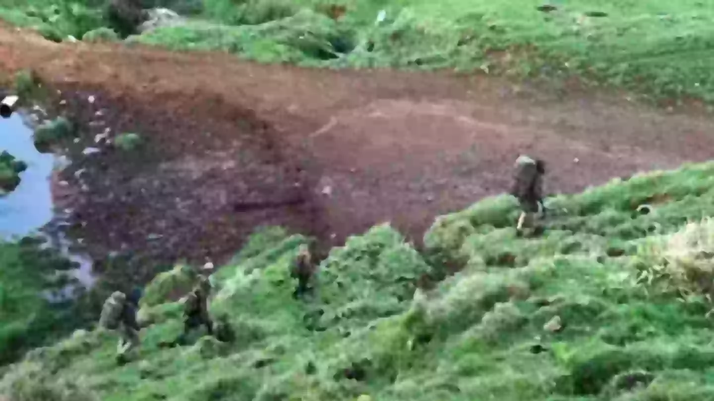 Investigators have new theory in case of man who vanished into wilderness with his three children four years ago