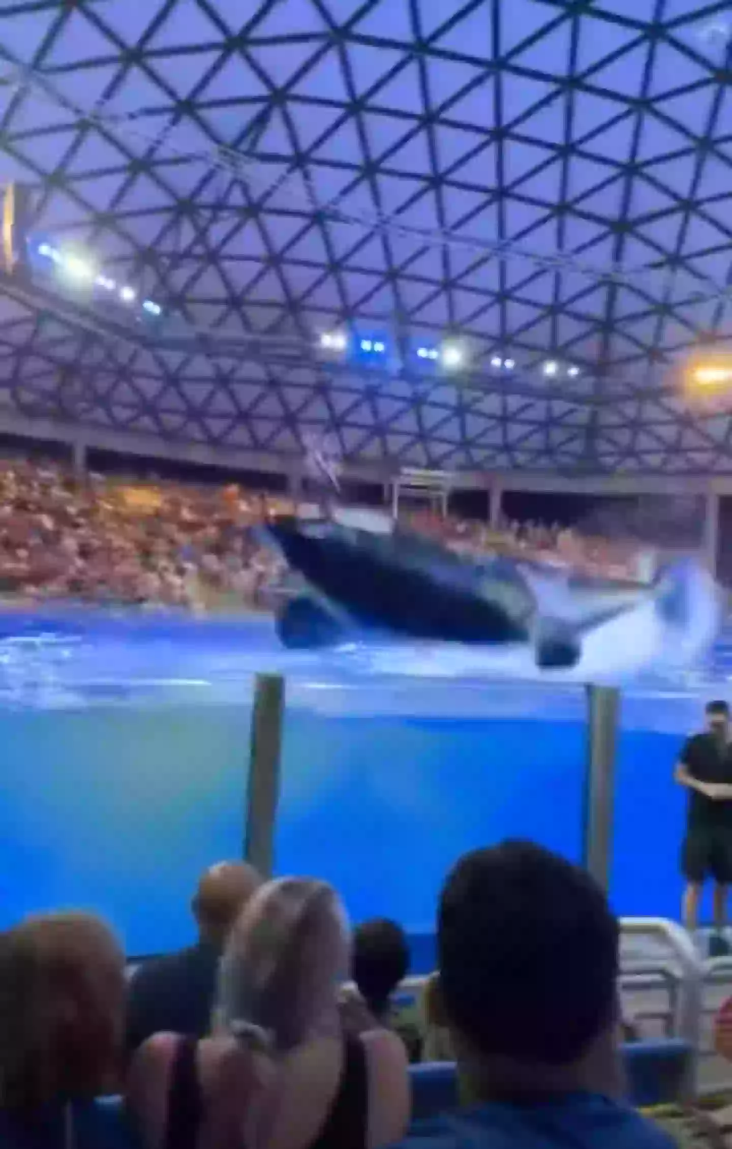 One of those 'images before disaster' (Alex Bermudez via Storyful)