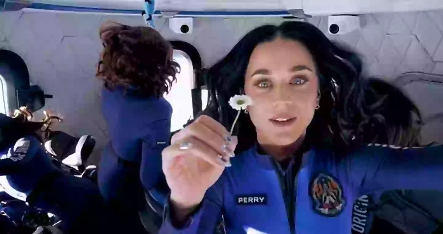Perry's hair wasn't wild enough for some (Blue Origin)