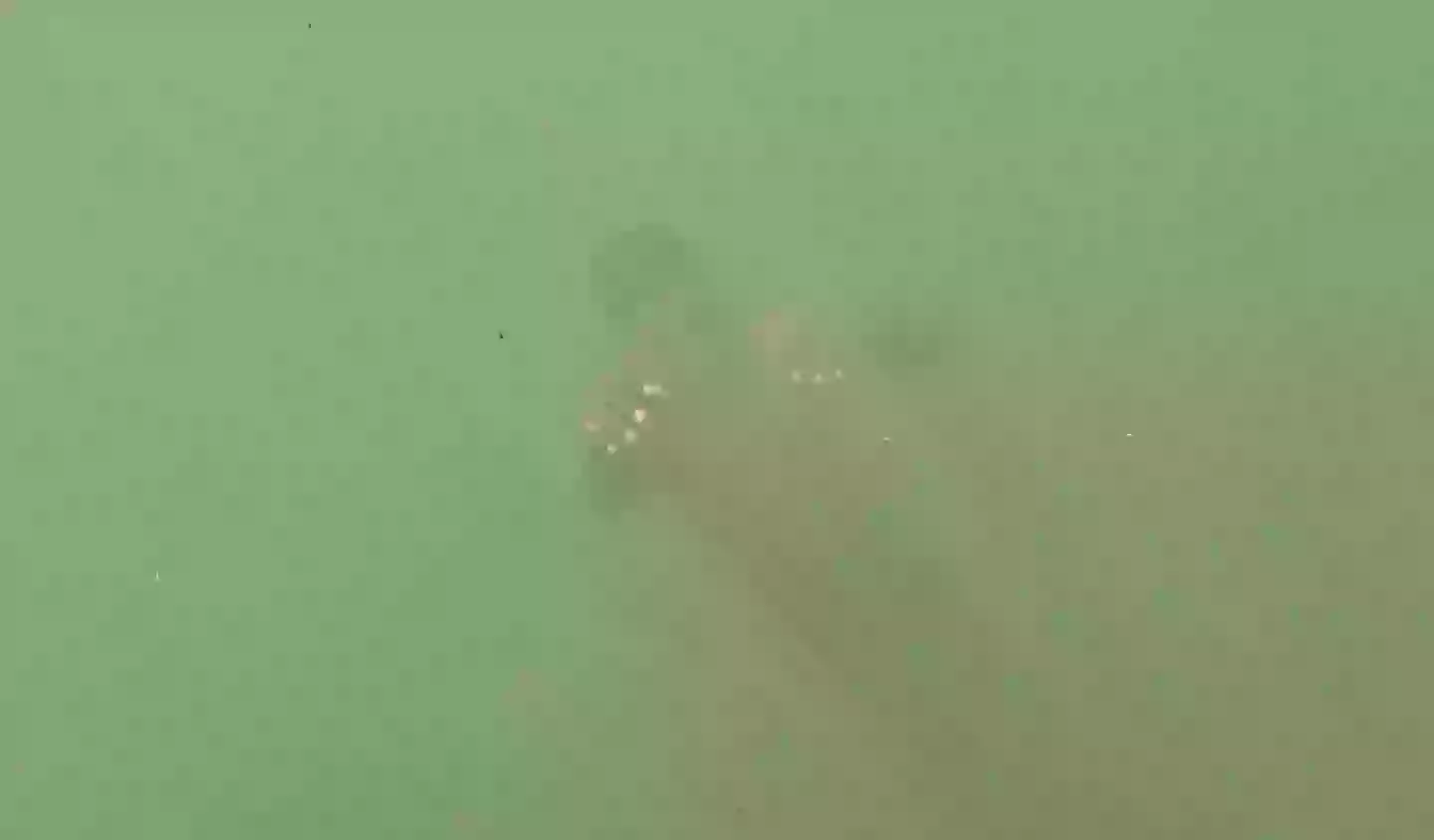 She captured the extraordinary rescue on her GoPro (SWNS)