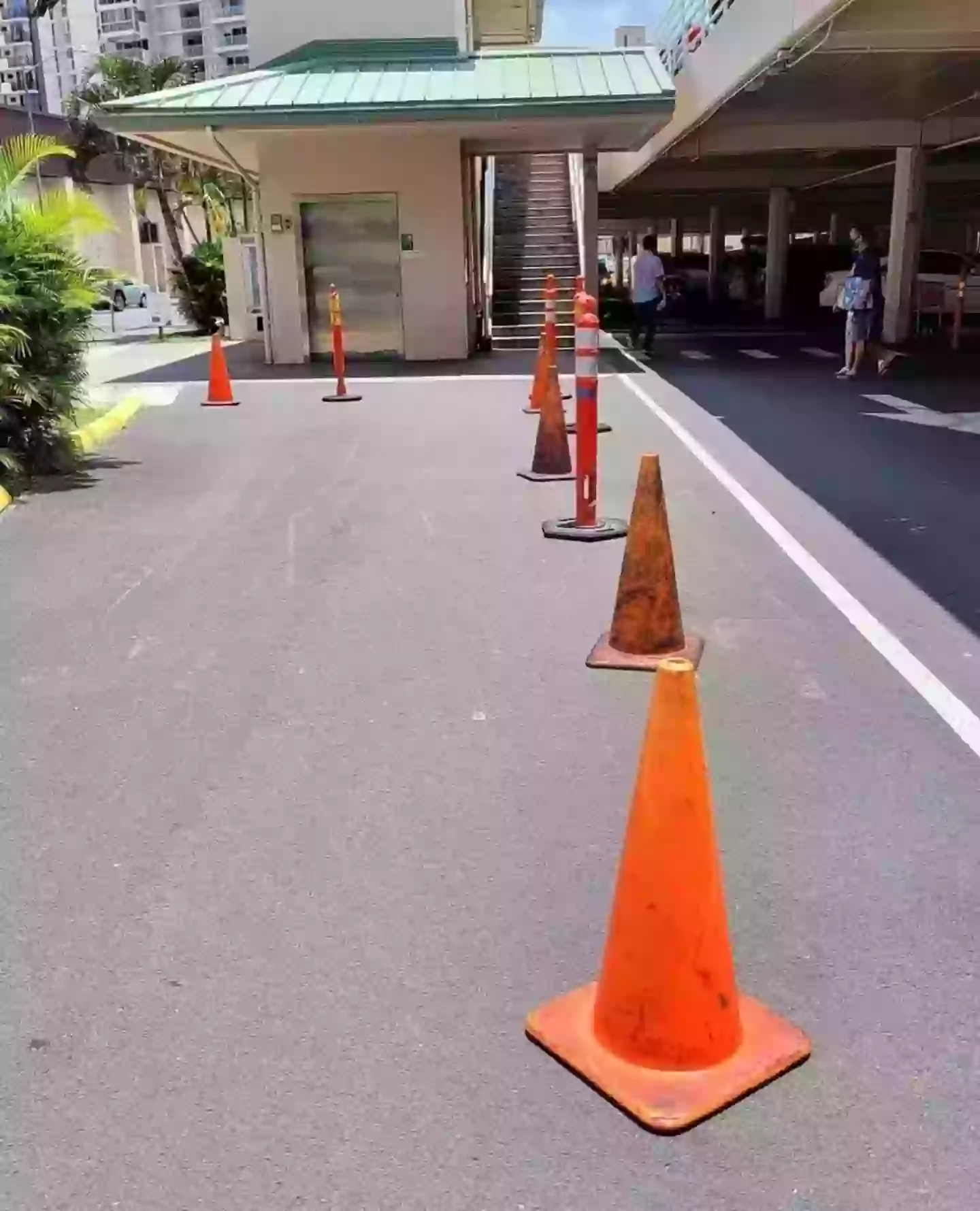 Looks like AI... or a drawing (Reddit)