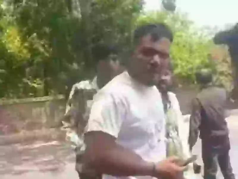 Only one passenger survived the crash (X)