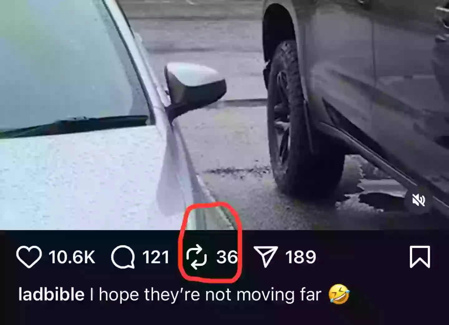 The repost feature is now live on Insta (Instagram/@ladbible)