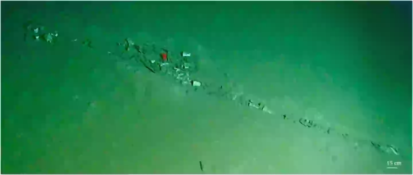 A 'litter hotspot' over the floor of the Calypso Deep (Marine Pollution Bulletin)