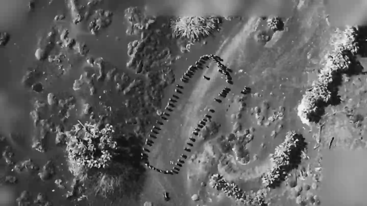 Donald Trump shared the controversial footage on his social media platform Truth Social (X/@realDonaldTrump)