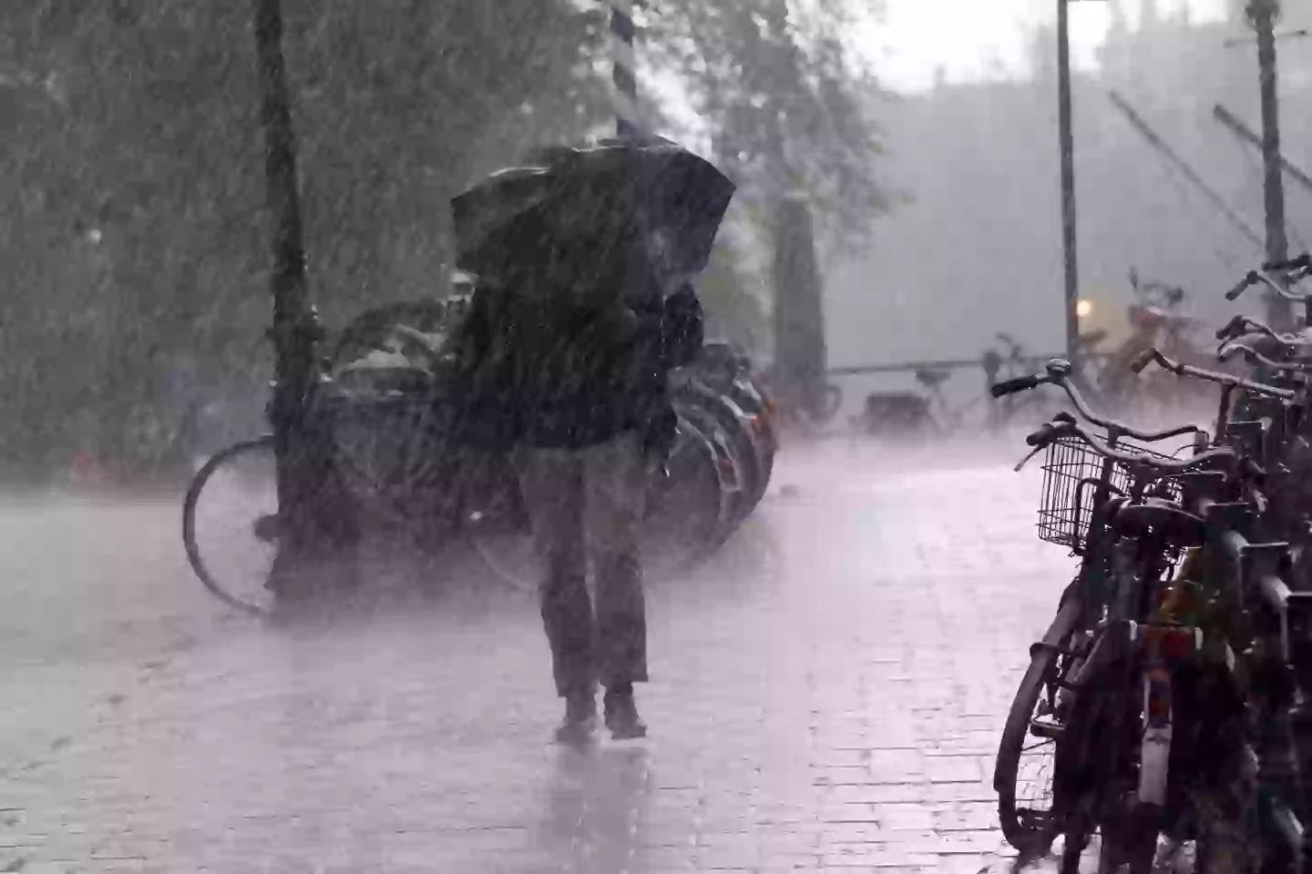 It rains a lot here (Getty Stock Images)