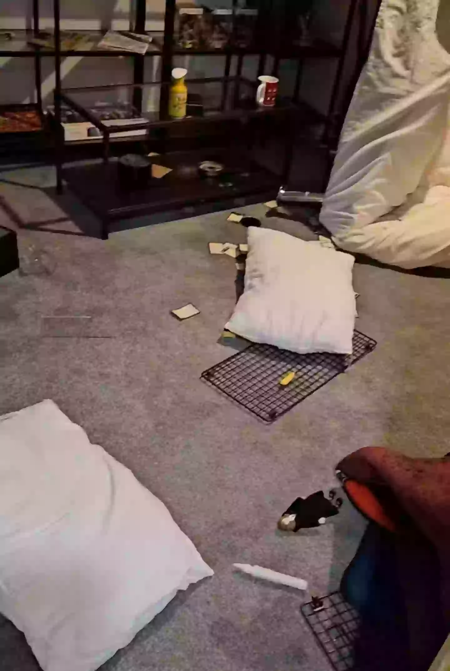 The place was a mess (tiktok/homelea.stays)