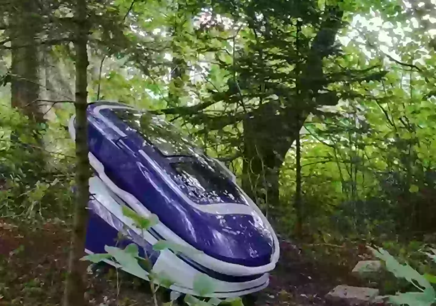 The pod was used for the first time last year (The Last Resort/Exit International)