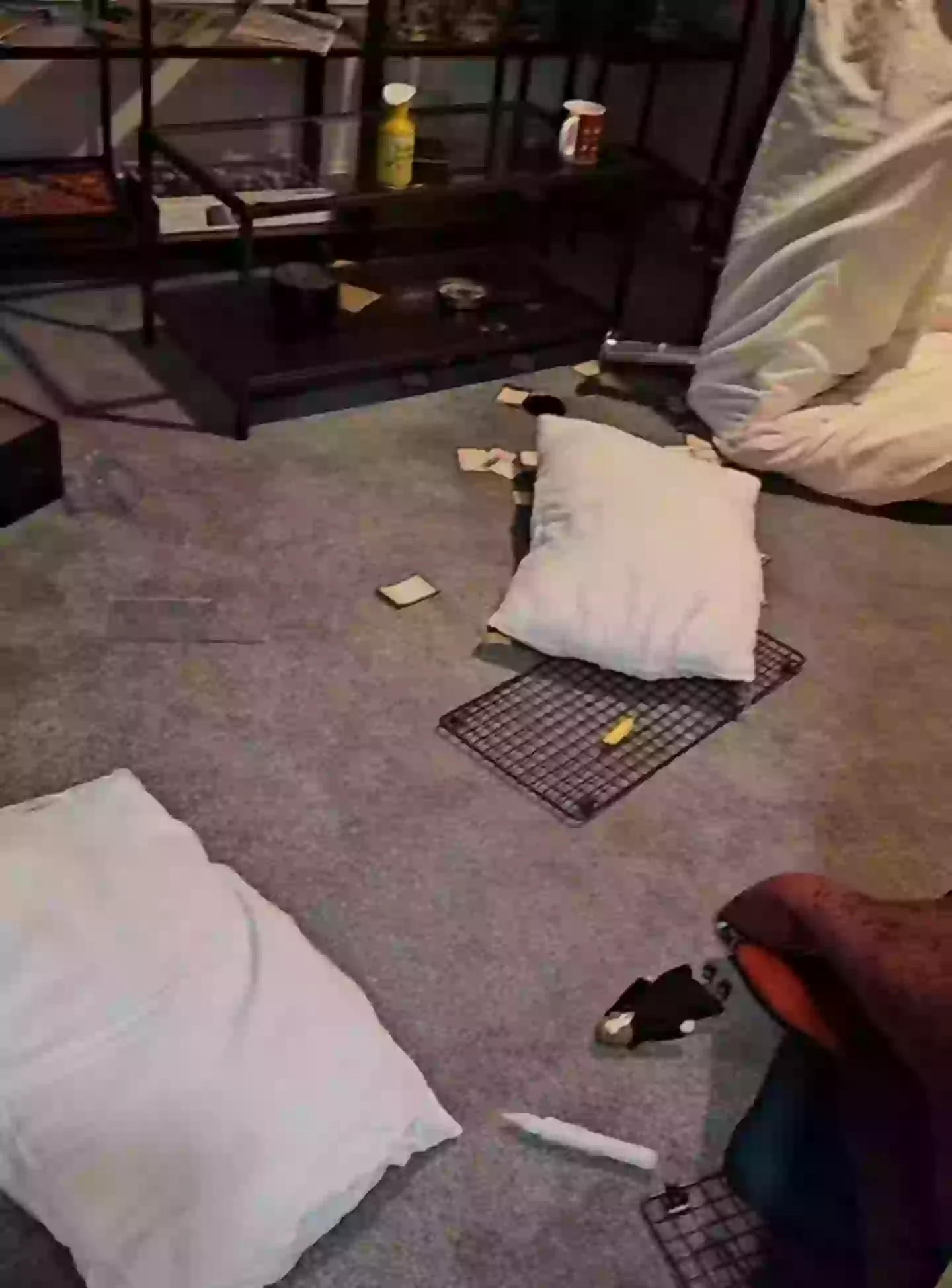 Not even your strongest 'scourgify' or 'reparo' could fix this (TikTok/Homelea.stays)