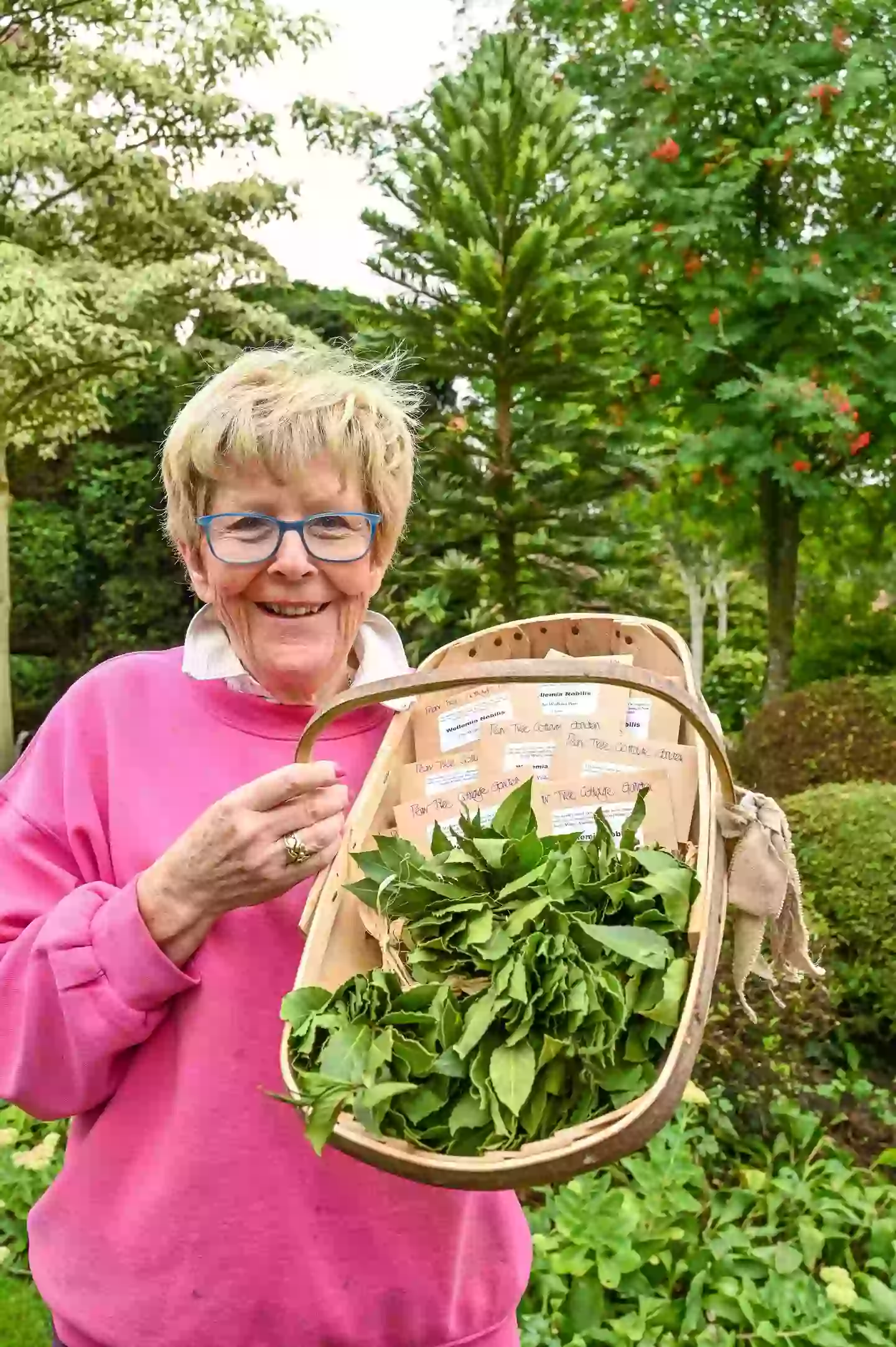 The elderly couple have a haul of seeds worth as much as £5,000, though they’re planning to sell them for less than that (SWNS) dqxikeidqkikdinv