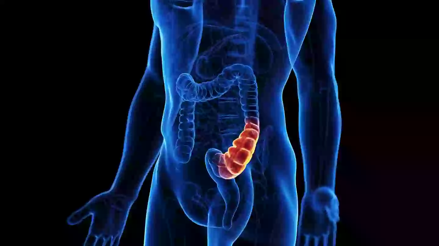 Book an appointment with your GP if constipation doesn't improve (Getty Stock Images)