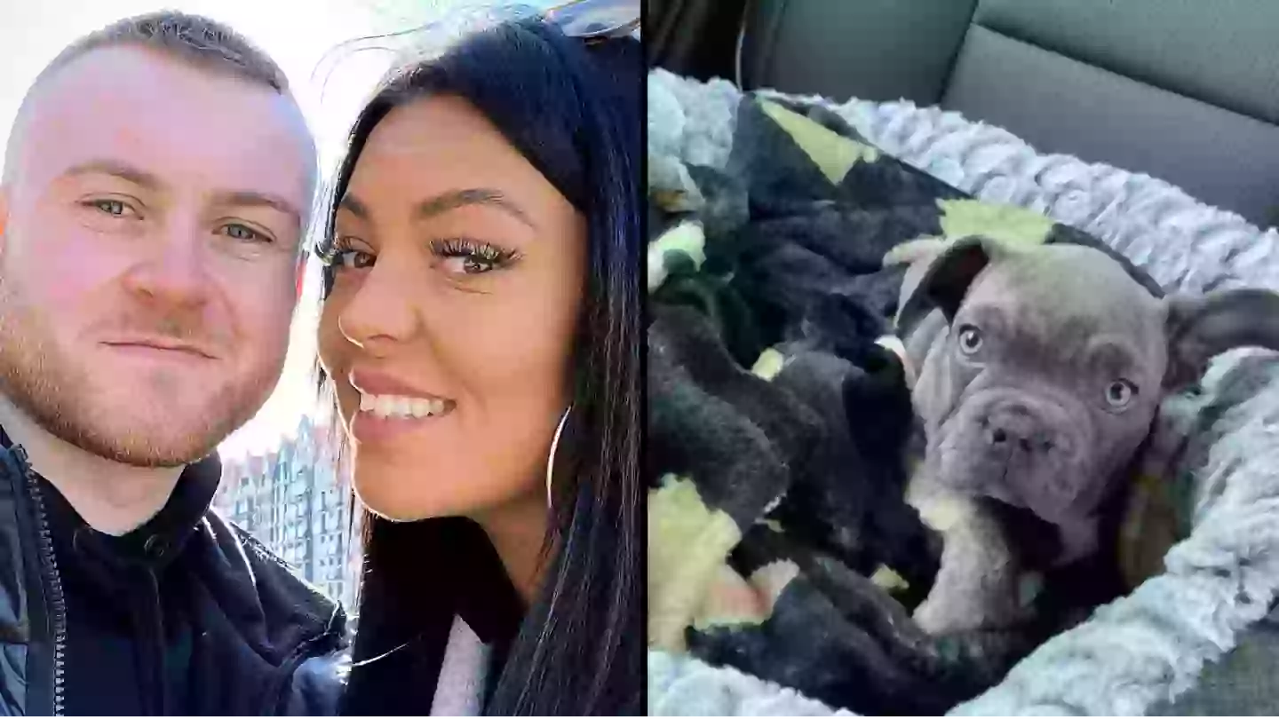 Facebook/Adam Gardner McLean