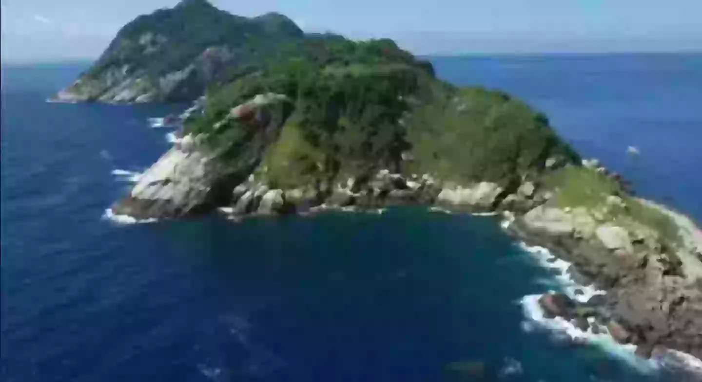 Holiday on Snake Island? Think I'm good, thanks (9 News)