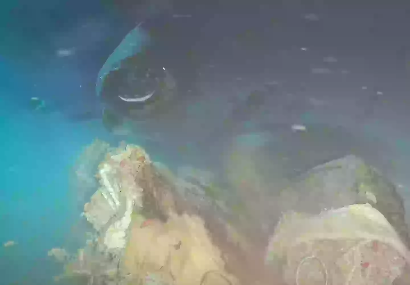 It's Bruce (Ocean-Land-Atmosphere Research)