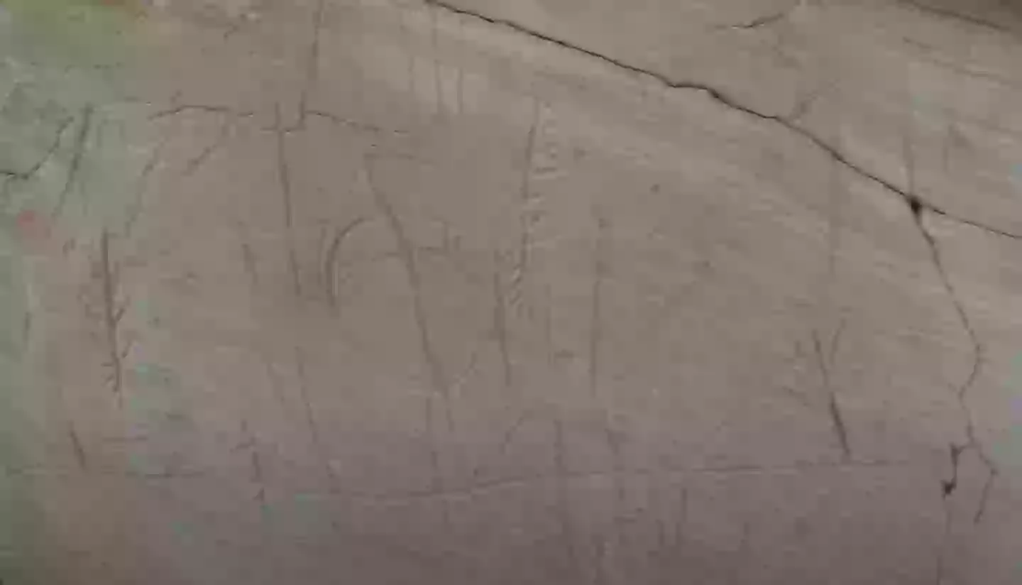 Some of the petroglyphs the YouTuber discovered (YouTube/Desert Drifter)