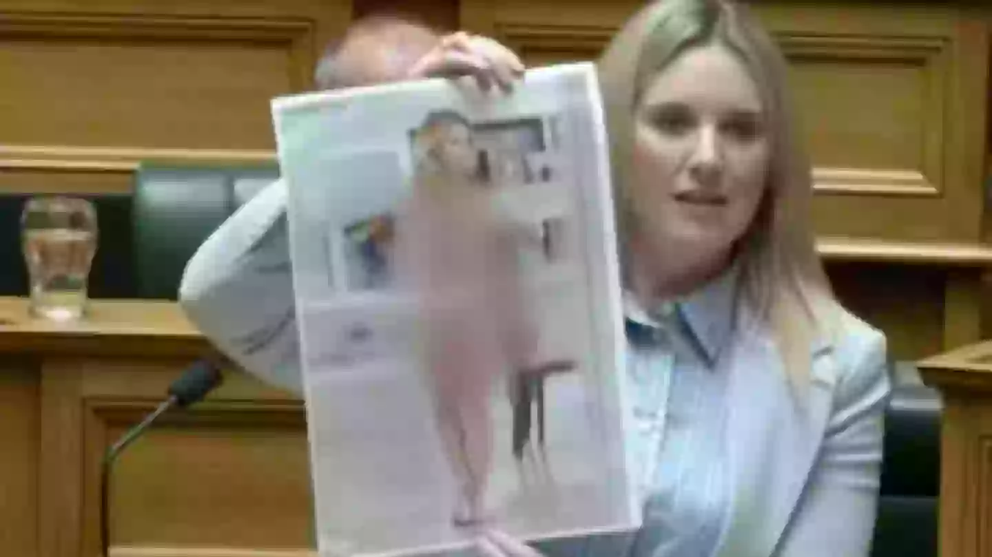 Why MP held up naked photo of herself in front of entire parliament