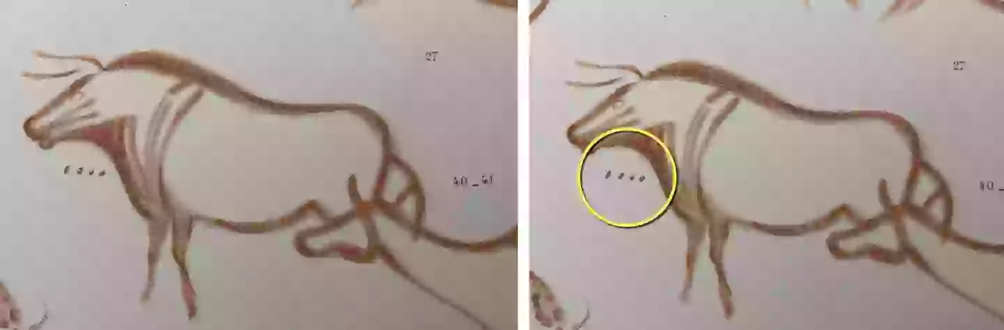 His discovery has been hailed as ‘fascinating’ by one expert.