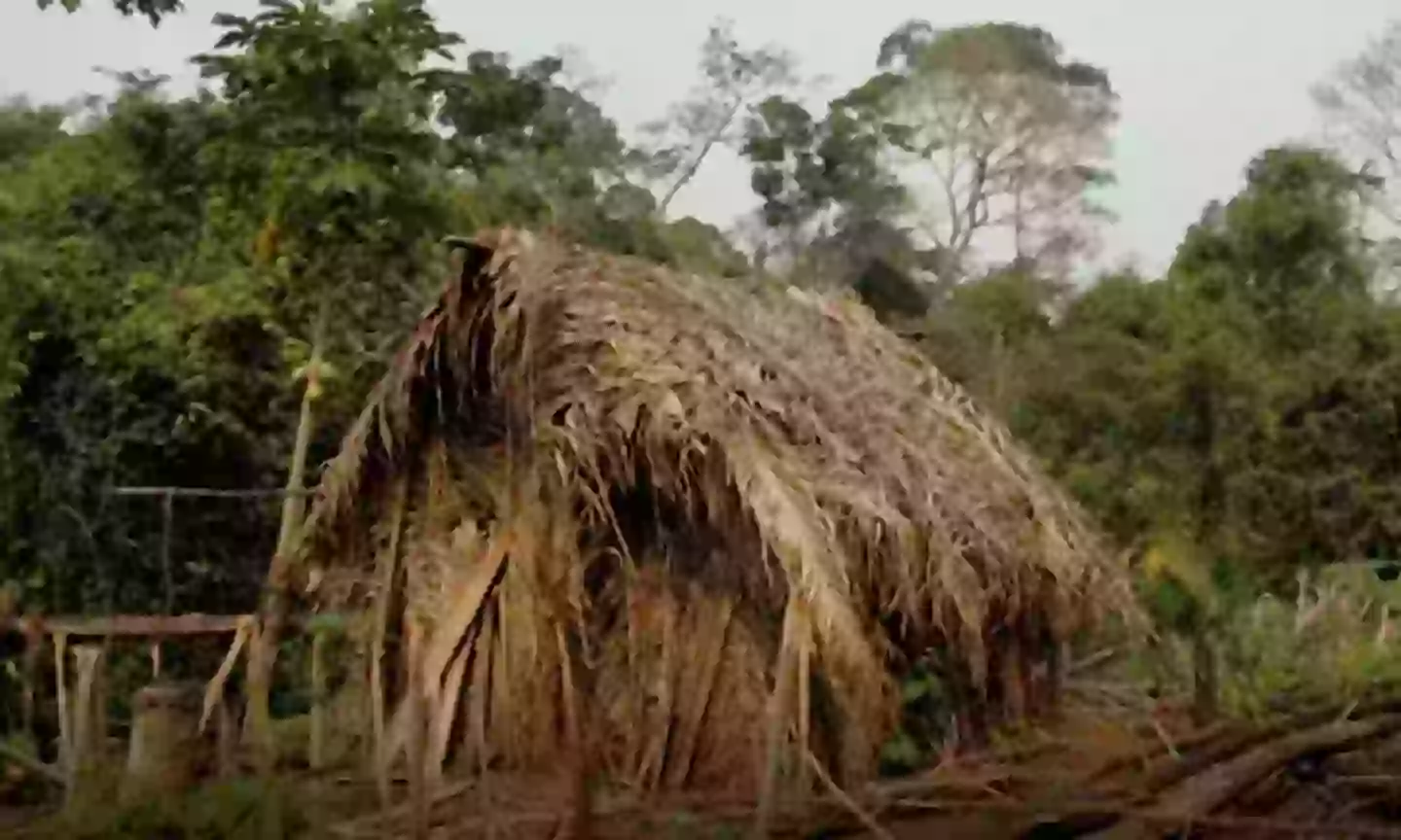 He built his own hut and made his own tools (USA Today/YouTube)