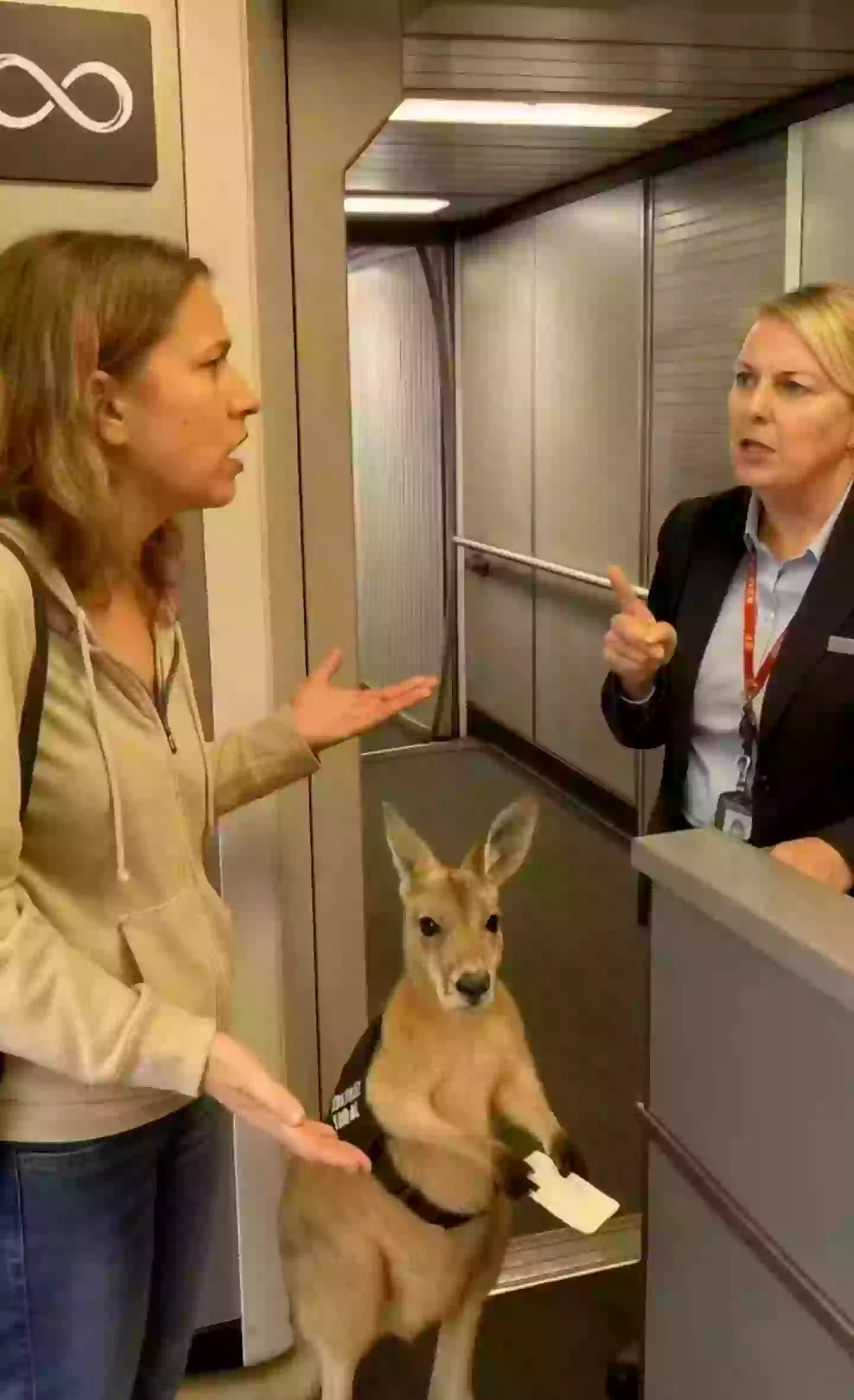 The short clip appears to show a woman arguing with an airline employee about the animal getting onto the plane (Instagram/@infiniteunreality)
