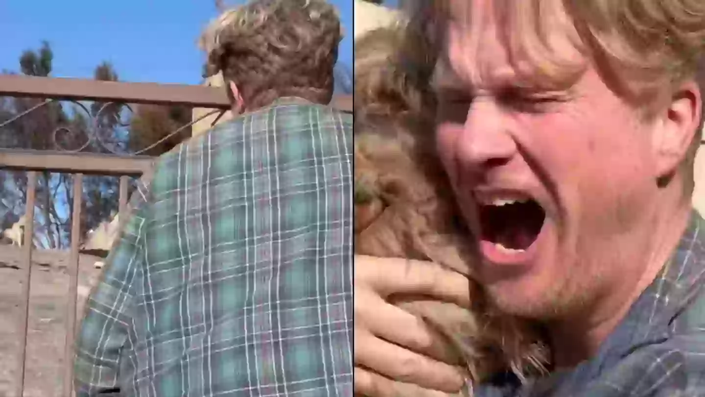 Pet owner returns to his home after LA wildfires and is left in tears at what he discovers