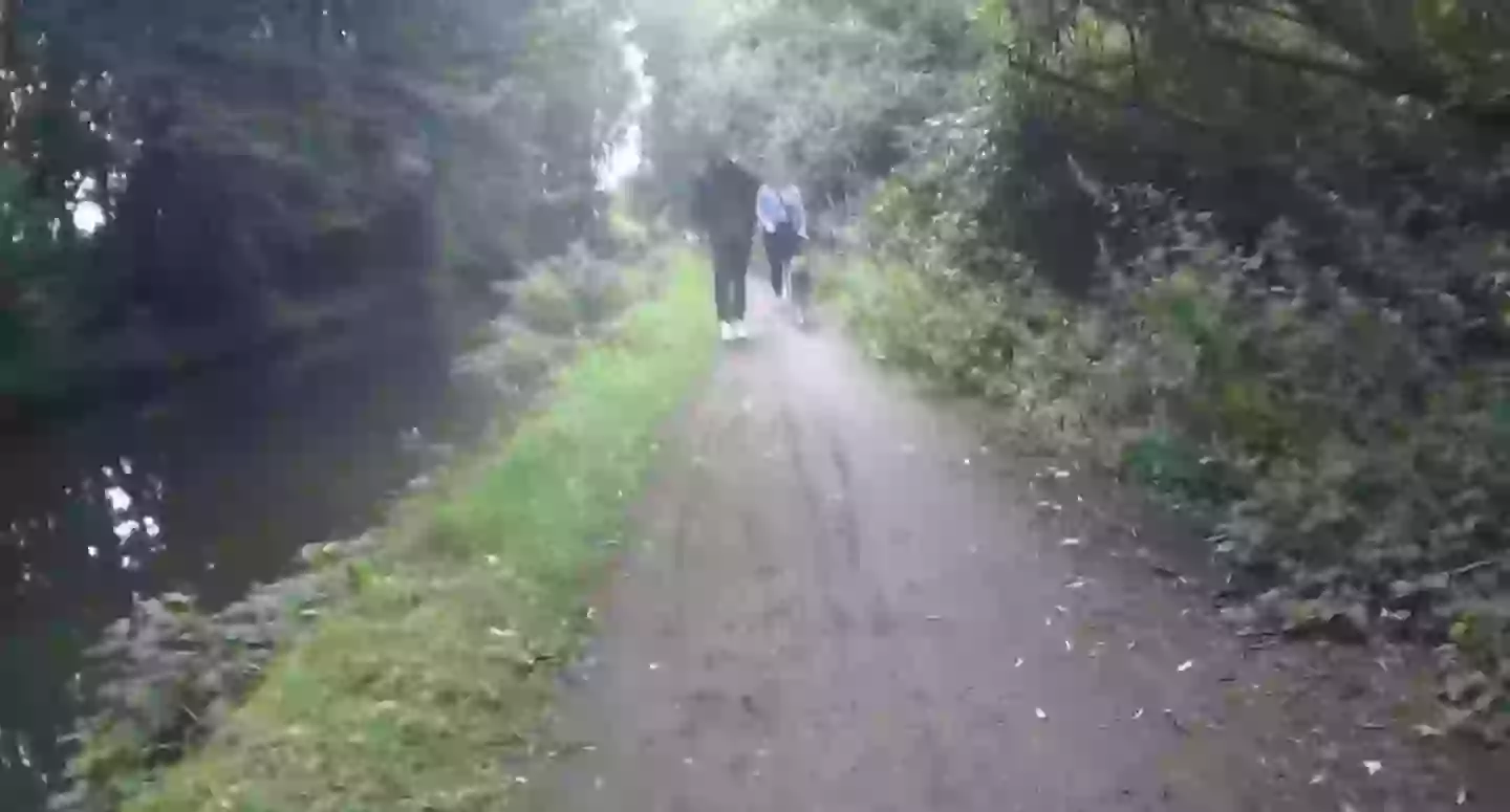 She appeared to brake as she approached the couple (Kennedy News and Media)