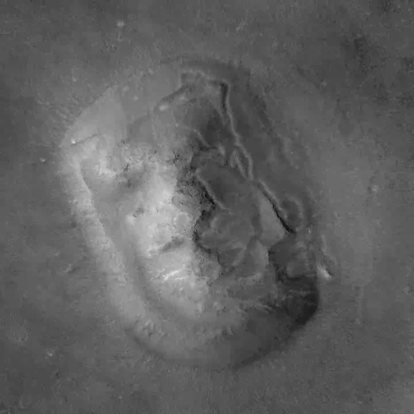 Ex-CIA agent shares ‘evidence’ he discovered in cancelled project that ‘proves’ there was life on Mars 2 He described being asked to look at the surface of Mars a million years ago, and claims he saw evidence of human-like life (Photo12/Universal Images Group via Getty Images)