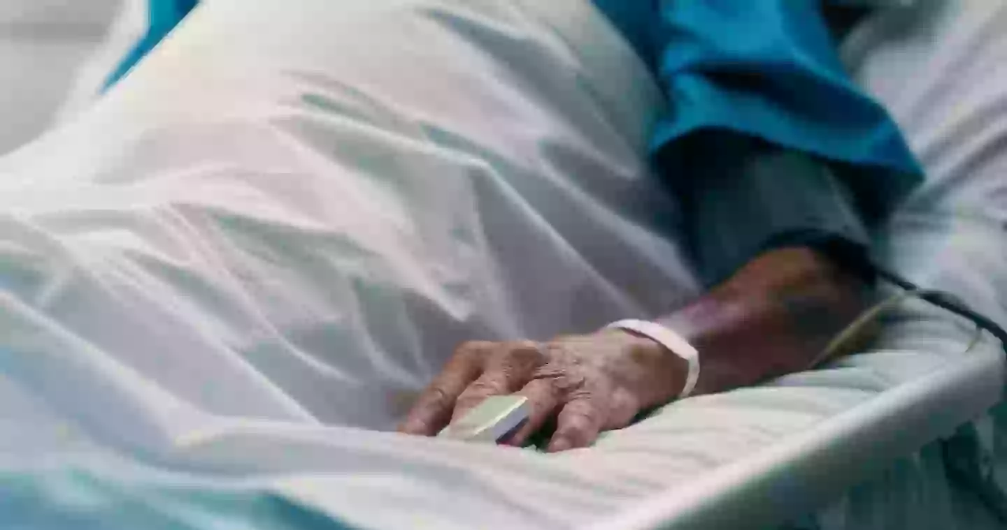 Rare Black Death Case in US Sparks Fears of Deadly Plague s Return Rare Black Death Case in US Sparks Fears of Deadly Plague s Return