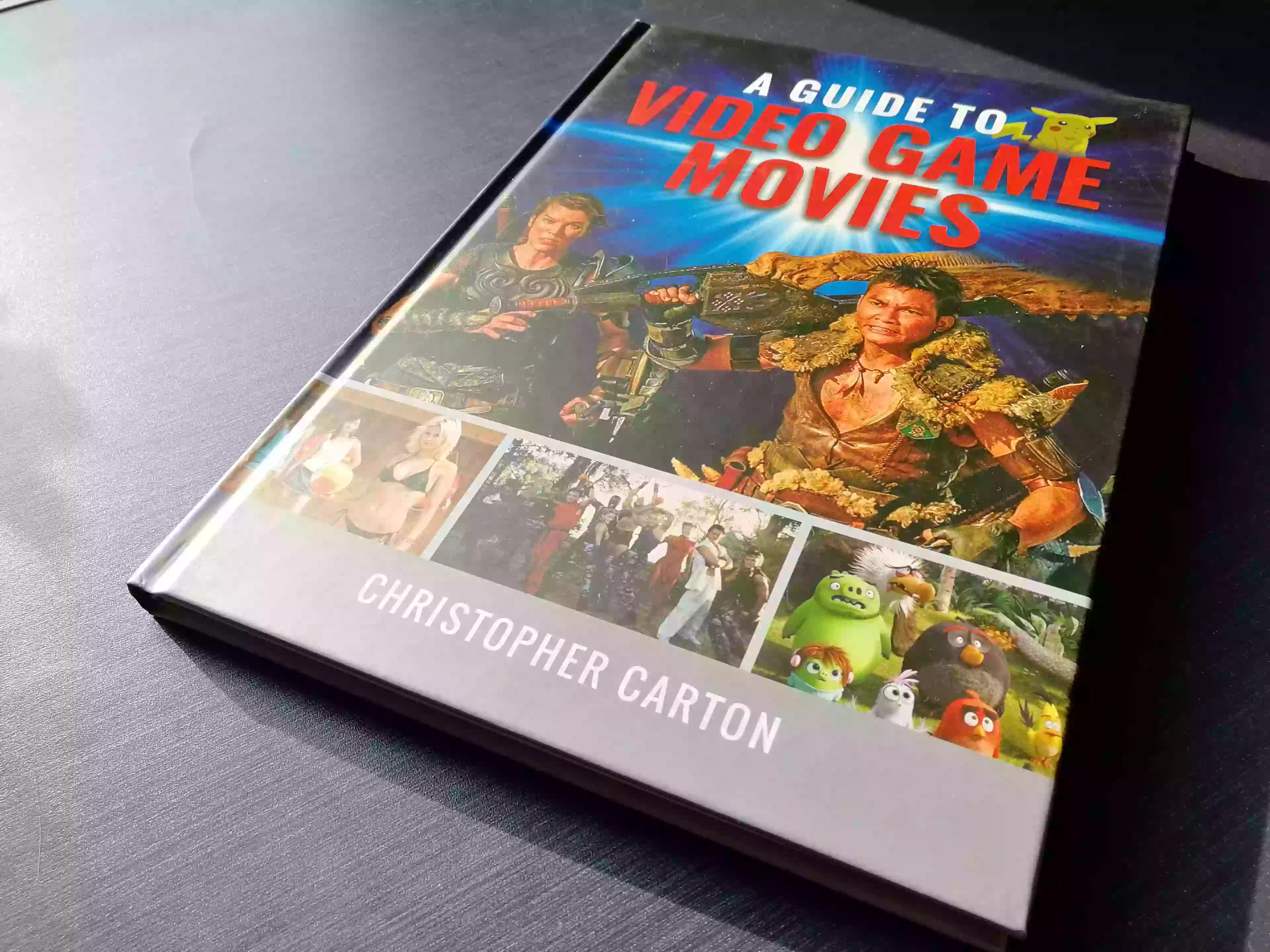 The book’s cover /