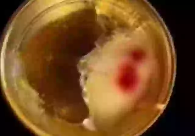 The Communion Wafers were covered in a red substance