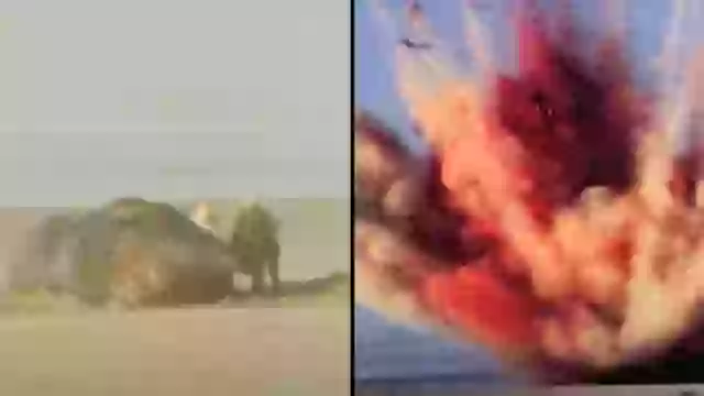 Exploding whale incident is still one of the craziest spectacles ever ...