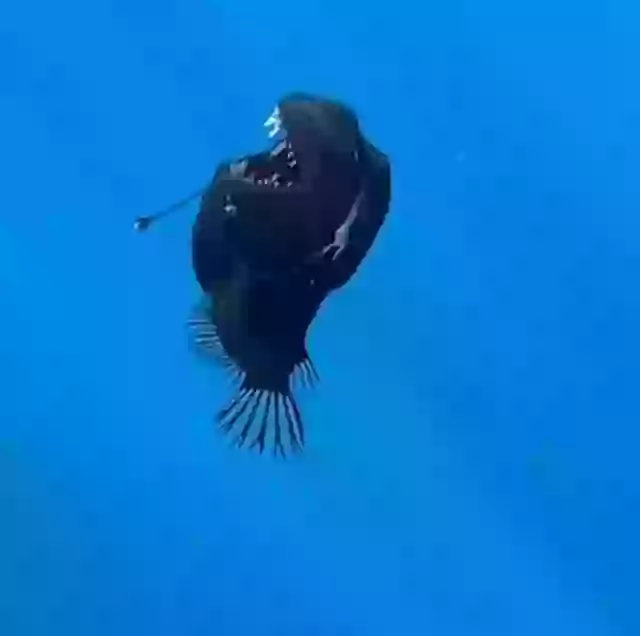 Marine expert reveals truth behind terrifying 'demon fish' caught on film
