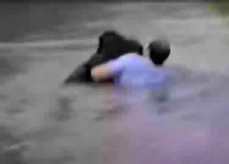 Rick Swope dives into moat to save Jo-Jo the chimp from drowning