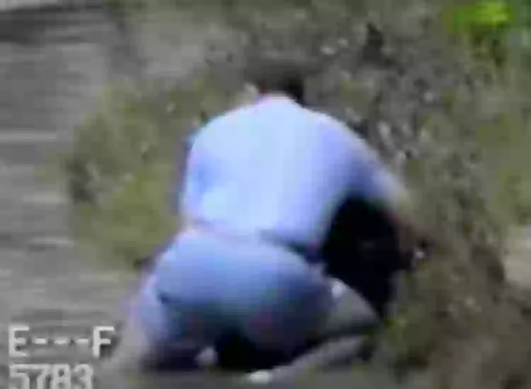 Rick Swope pulls Jo-Jo onto shore