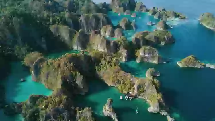 Expert reveals people who are bad at math actually suffer from bizarre ...