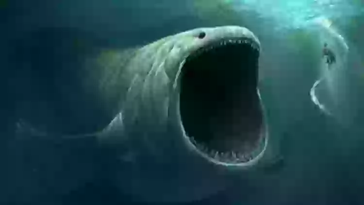 Bloop Environment Extremely powerful sound that couldn't be made by animals was recorded ...