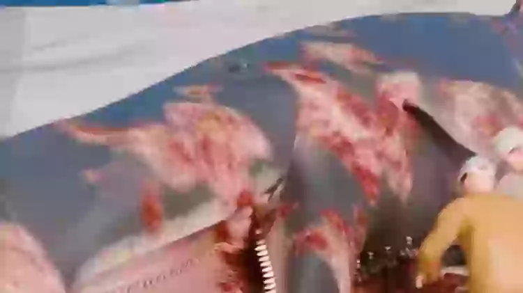 Simulation shows what happened during Oregon's 1970 exploding whale ...
