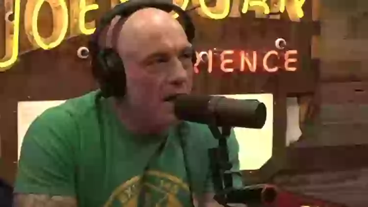 Moment Joe Rogan left stunned as Elon Musk posts Donald Trump Epstein ...