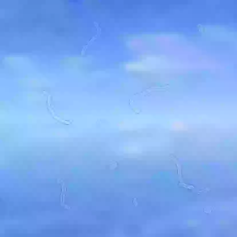 Experts reveals what to do if you start seeing 'floaters' and why you ...
