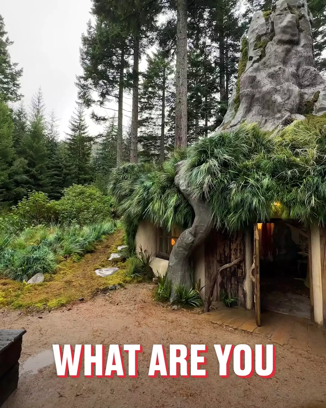 POV: you live in the Shrek's IRL swamp house
