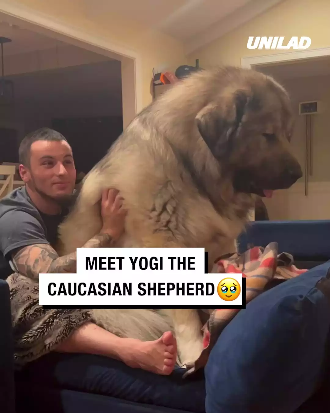 Dog is BFG