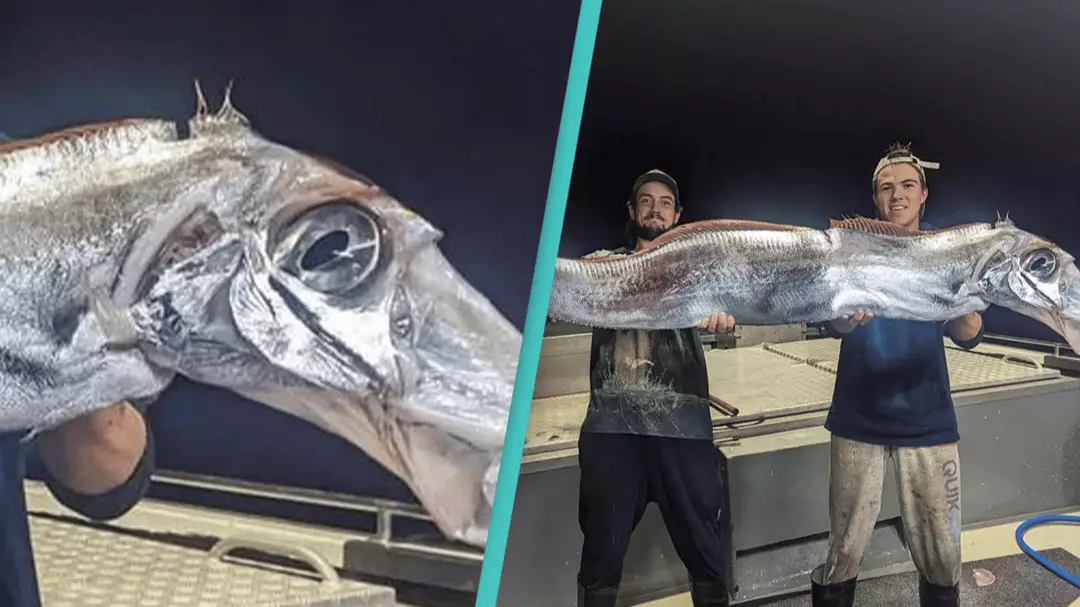 Fishermen catch terrifying 'doomsday fish' in rare sighting of deep-sea ...