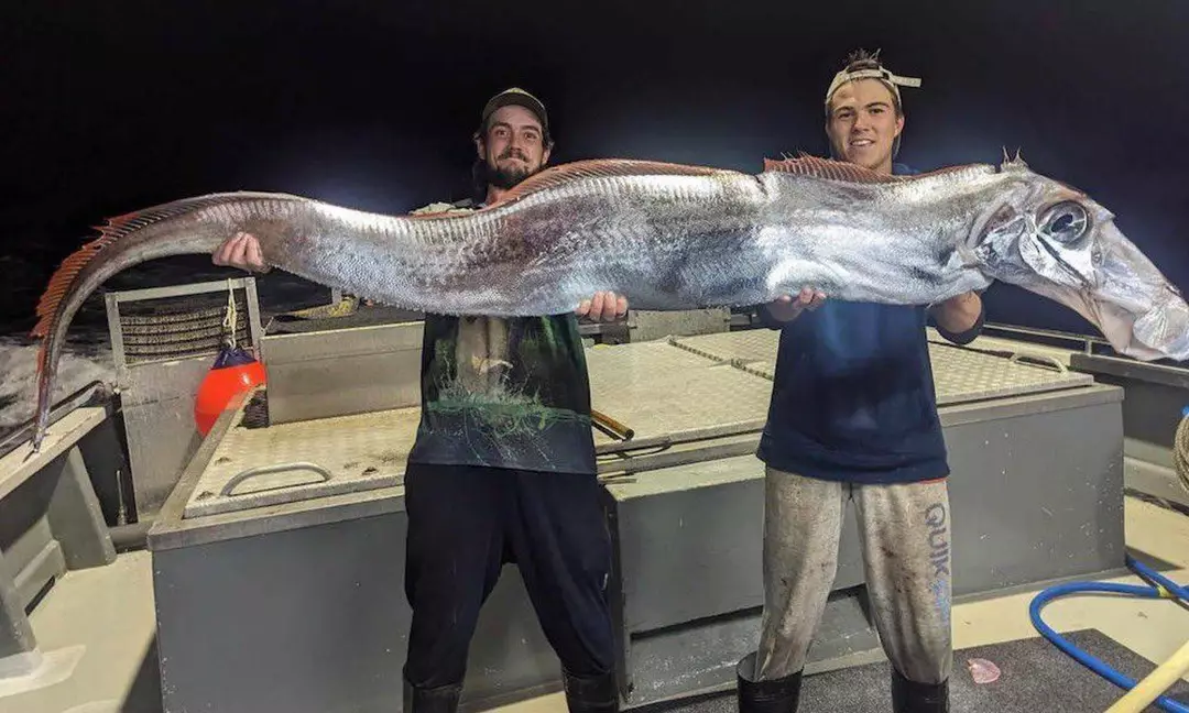 Fishermen catch terrifying 'doomsday fish' in rare sighting of deep-sea ...